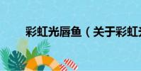 彩虹光唇魚(關于彩虹光唇魚介紹)