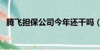 騰飛擔保公司今年還干嗎(騰飛擔保公司)