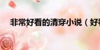 非常好看的清穿小說(好看的清穿小說)