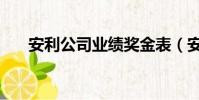 安利公司業績獎金表(安利業績查詢)