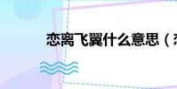 戀離飛翼什么意思(戀離飛翼)