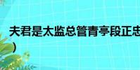 夫君是太監總管青亭段正忠(夫君是太監總管)
