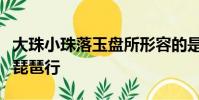 大珠小珠落玉盤所形容的是什么樂器的彈奏聲琵琶行