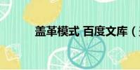 蓋革模式 百度文庫(蓋革模式)