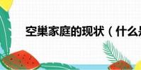 空巢家庭的現狀(什么是空巢家庭)