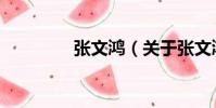 張文鴻(關于張文鴻介紹)