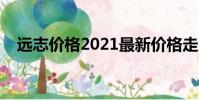 遠志價格2021最新價格走勢(遠志價格)