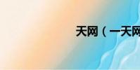 天網(一天網)