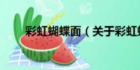 彩虹蝴蝶面(關于彩虹蝴蝶面介紹)