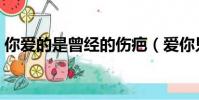 你愛的是曾經的傷疤(愛你只留下一道傷疤)