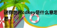 迷你世界cdkey是什么意思(cdkey是什么意思)
