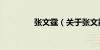 張文霆(關于張文霆介紹)