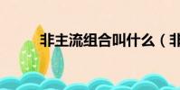 非主流組合叫什么(非主流組名)