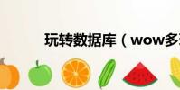 玩轉數據庫(wow多玩數據庫)