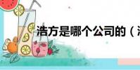浩方是哪個公司的(浩方天翼)
