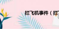 攔飛機事件(攔飛機)