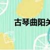 古琴曲陽關三疊歌詞（陽關三疊歌詞）