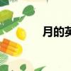 月的英文怎么寫（日的英文）
