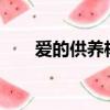 愛的供養楊冪mp3（愛的供養 楊冪）