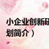 小企業創新研究計劃（關于小企業創新研究計劃簡介）