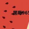 黑莓9650軟件（黑莓8310軟件）