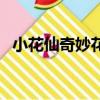 小花仙奇妙花寶多少錢（小花仙奇妙花寶）