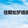 佳期如夢插曲遺憾百度云（佳期如夢插曲）
