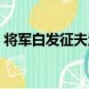 將軍白發征夫淚（關于將軍白發征夫淚簡介）