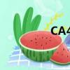 CA4306座位（ca4306）