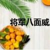 將軍八面威風（關于將軍八面威風簡介）