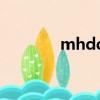 mhdd版本（mhdd中文版）