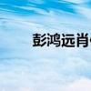 彭鴻遠肖像（關于彭鴻遠肖像介紹）