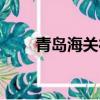 青島海關待遇福利（青島海關待遇）
