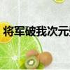 將軍破我次元壁（關于將軍破我次元壁簡介）