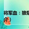 將軍血：狼煙再起（關于將軍血：狼煙再起簡介）