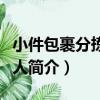 小件包裹分揀機器人（關于小件包裹分揀機器人簡介）