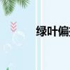 綠葉偏振鏡樣片（綠葉偏振鏡）