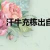 汗牛充棟出自哪個故事（汗牛充棟的典故）