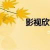 影視欣賞（關于影視欣賞介紹）