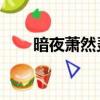 暗夜蕭然靈師爛尾（靈師 暗夜蕭然）