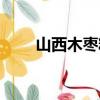 山西木棗精華口服液（木棗口服液）