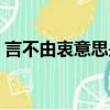 言不由衷意思是什么意思（意思是什么意思）