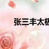 張三豐太極拳十三式（張三豐太極拳）