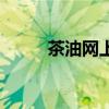 茶油網上哪里買最正宗（茶油網）