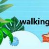 walking in the sky海鷗樂隊翻唱