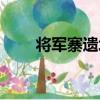 將軍寨遺址（關于將軍寨遺址簡介）