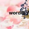 word電子版是什么（電子版是什么）