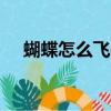 蝴蝶怎么飛dj王志酷我（蝴蝶怎么飛dj）