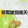 將軍拔劍南天起（關于將軍拔劍南天起簡介）