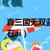 真三國無雙藍寶石ai版呂布（真三國無雙藍寶石ai）